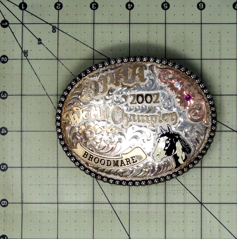 APHA 2002 World Champion Broodmare Belt Buckle SS 10K Overlay Vtg Gist SS.GMP007