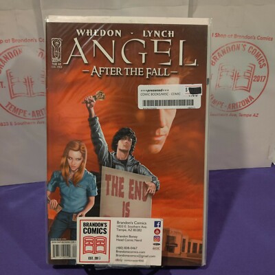 Angel After The Fall 8