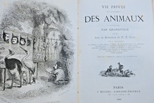 Grandville VIE PRIVÉE ET PUBLIQUE DES ANIMAUX HETZEL 1868