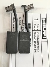 Original Kohlebürsten HILTI TE800 DD150 DD160 DD200 DD250 NEU 2006843 2103715