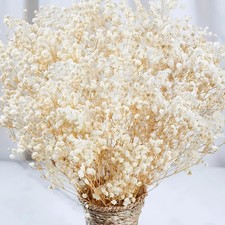 17 Inch 6000 Dried Baby's Breath Flowers Bouquet Bulk Ivory White Vase Decor
