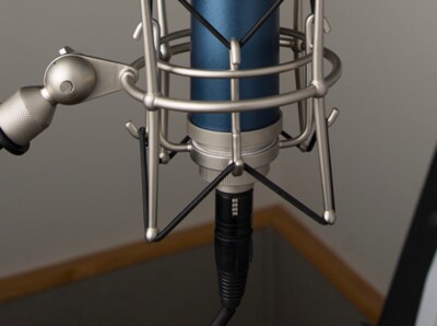 bluebird SL コンデンサーマイク BlueMicrophones Blue Microphones BLUEBIRD SL Large-Diaphragm Condenser Microphone