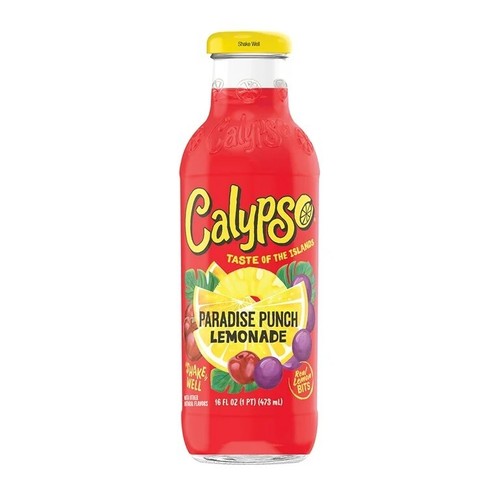 Calypso Paradise Punch Lemonade 16 oz
