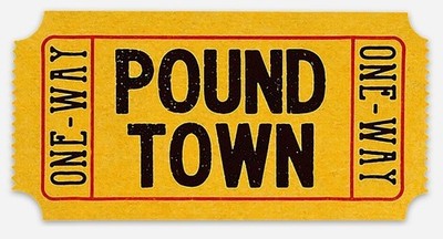 One Way Ticket to Pound Town custom die cut MAGNET