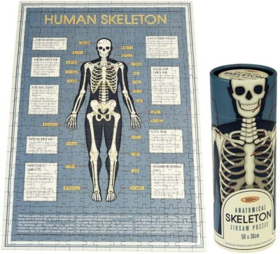 300 Teile Puzzle in einer Röhre Anatomie / Hunde / Periodensystem / Sonnensystem