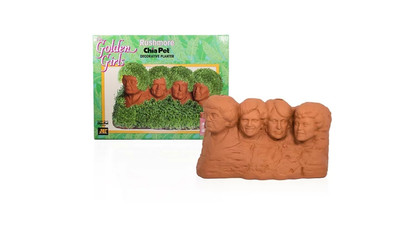 The Golden Girls Rushmore Chia Pet Planter - Dorothy, Blanche, Rose, Sophia - Fu