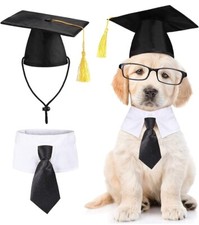 Dogs Graduation Costume Small-x2 quantity