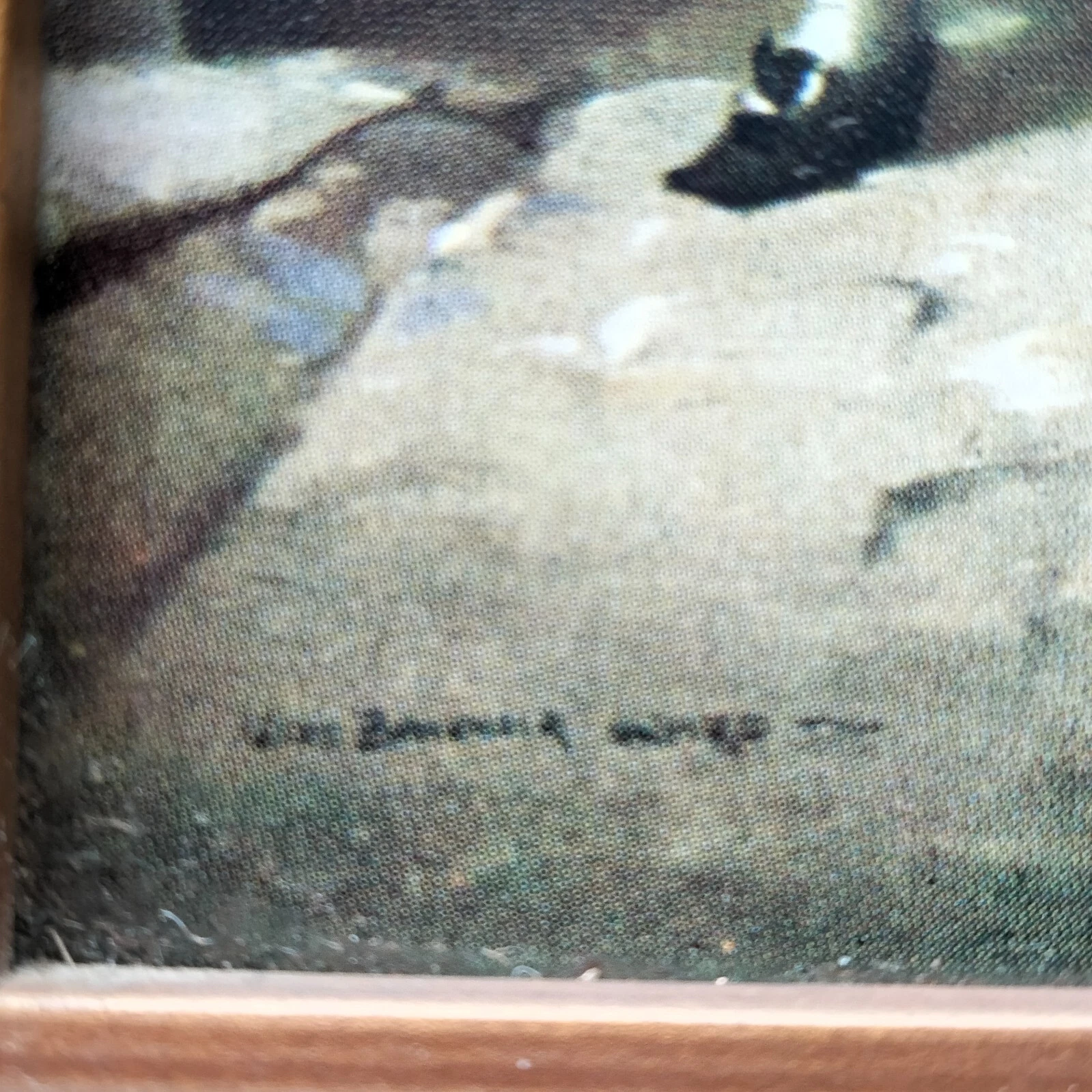 Picture 5 of 8