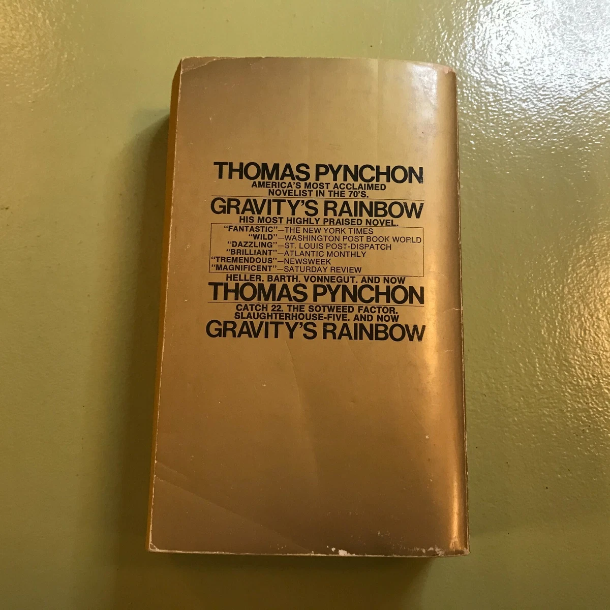 Thomas Pynchon Author