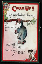 Tuck's Cartoon Postcard Related 2 Taft as Billy Possum Even The Brits Wanted In