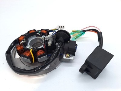 Apache Quad 100cc Magneto & CDI KIT 50 100cc passt Cobra 100, AEON 100 Quads