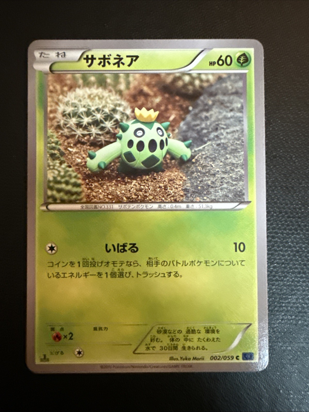 Cacnea Pokemon Card 1st Ed 2015 002/059 XY8 Nintendo TCG Japanese