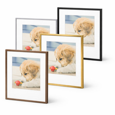 Aluminum Picture Frames with Real Glass, Made To Display Pictures with Mat