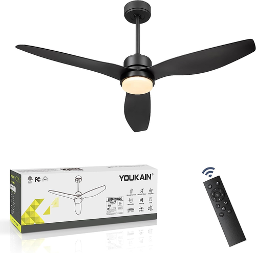 YOUKAIN 52 Inch Indoor/Outdoor Modern Ceiling Fan with Lights and Remote Contro - Picture 10 of 10