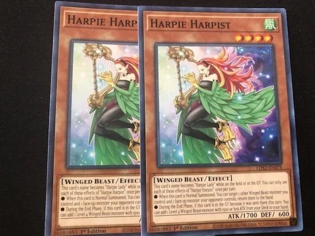 YUGIOH HARPIE LADY DECK- ORACLE- HARPIEST- CYBER- CHANNELER- PET DRAGON- QUEEN - Image 4 of 4