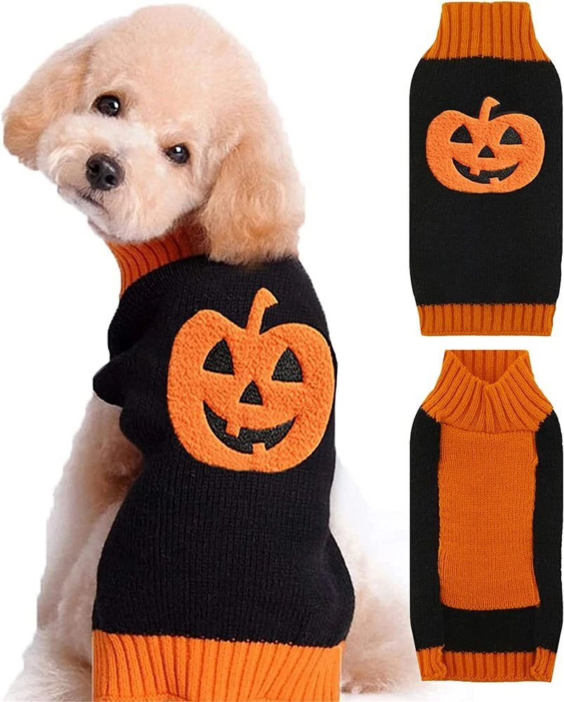 Pumpkin hotsell dog sweater
