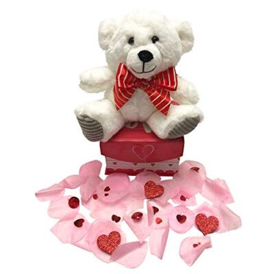 Valentines Day Romantic Gifts for Her Teddy Bear Plush in a Gift Box 