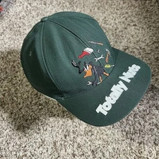 Vtg 90s Warner Bros Looney Tunes Green SnapBack Hat Daffy Duck Embroidered