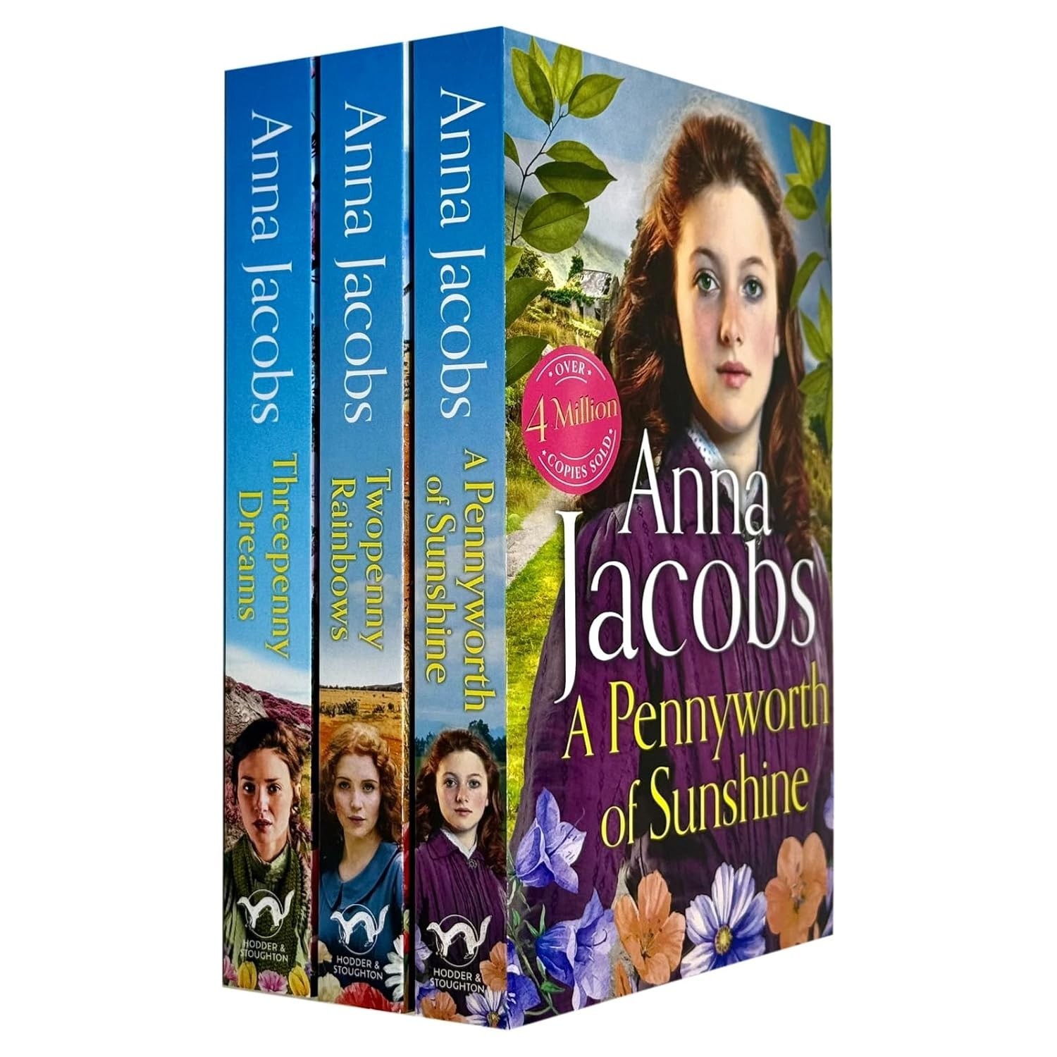 Michaels Family Series 3 Books Set by Anna Jacobs Twopenny Rainbows
