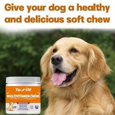 Pet vitamin Multifunctional Health care products Dog