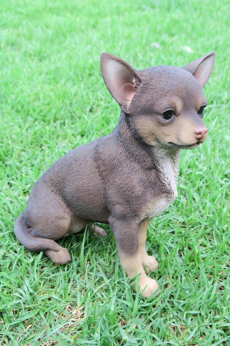 CHIHUAHUA STATUE PUPPY DOG CHOCOLATE BROWN ANIMAL GARDEN MEMORIAL