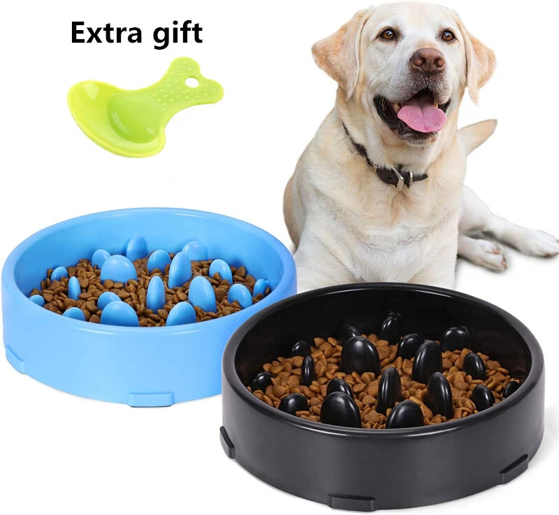 Dog clearance food dish