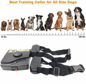 2 dog shock collar system