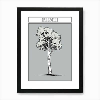 Birke Baum Minimalistische Zeichnung 3 P Gerahmtes Wandbild Poster Leinwanddruck Bild