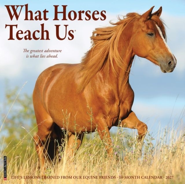 What Horses Teach Us Calendar 2027, Wall Calendars, Month To View, Animals, Gift - Image 3