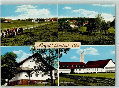 10453336 - 6957 Balsbach Gasthaus Zum Engel cow pasture Clarissen monastery