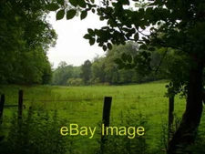 Photo 6x4 Combe Bottom Albury/TQ0547 Deep and narrow dry downland valley c2007