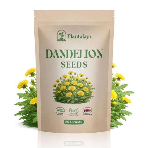 Dandelion Seeds for Planting & Pet Forage – Tortoise, Rabbit & Guinea Pig Food
