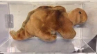Ty Beanie Babies Steg 1995 Vintage Striking Colors 3rd Gen Swing 2nd Tush