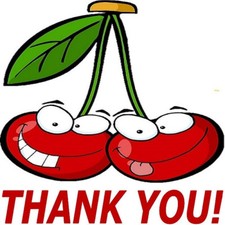 30 Custom Cartoon Cherries Thank You Personalized Address Labels