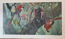 Robert BATEMAN Tropical Canopy - Scarlet Macaws Limited Edition art print COA