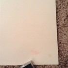 St. Pauli Girl Beer Vintage 1984 Pin-Up Poster 21" x 32" Sexy Busty Blonde — photo 10
