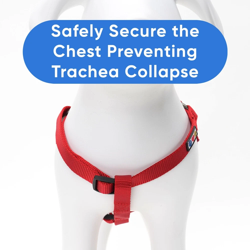 Dog Harness or Puppy Harness available Extra Small Small Medium Large Solid