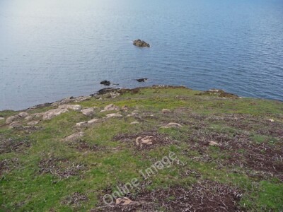 Foto 6x4 Rubha Smellavig Duntulm Frühlingsgras kommt nach Burni durch c2010