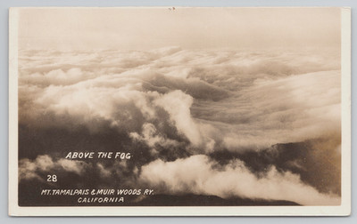 RPPC Above the Fog, Mt. Tamalpais Woods Railway California Postcard