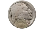 1919D Buffalo Nickel Restored Date