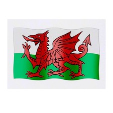 'Welsh Flag' Temporary Tattoos / Transfers TO00046518