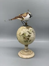 Steampunk Bird Sculpture Assemblage Art