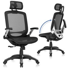Ergonomic Office Chair, High Back Home Desk Chair with Headrest, Flip-Up Arms...