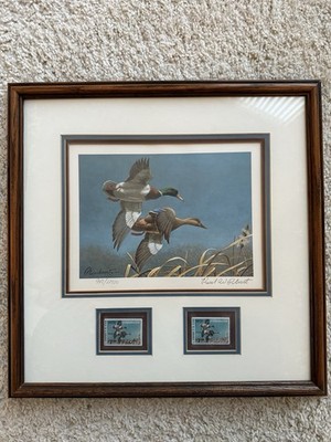 1980-81 Federal Duck Stamp Print Framed Mallards Signed By Plasschaert 948/12950