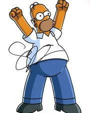 Not Enough D'Oh - Simpsons Trading Cards Autograph Guide 16