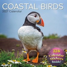 2027 Square Wall Calendar- Coastal Birds 12 x 12 Inch Monthly View, 16-Month