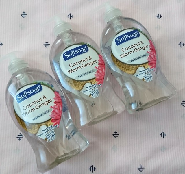 softsoap coconut & warm ginger hand soap