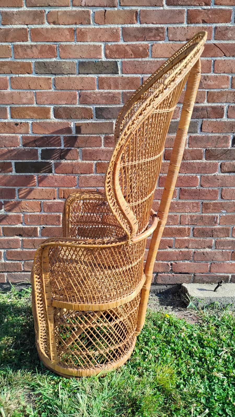 Picture 20 of 23