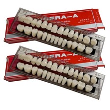 Realistic 2 Set of 28 Pcs A2 False Teeth for Teaching, DIY Halloween Props