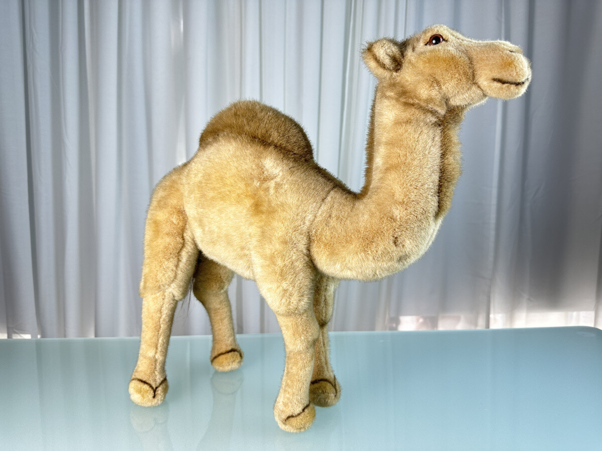 Steiff Dromedar Hocky 066924 Top Zustand 44cm | eBay